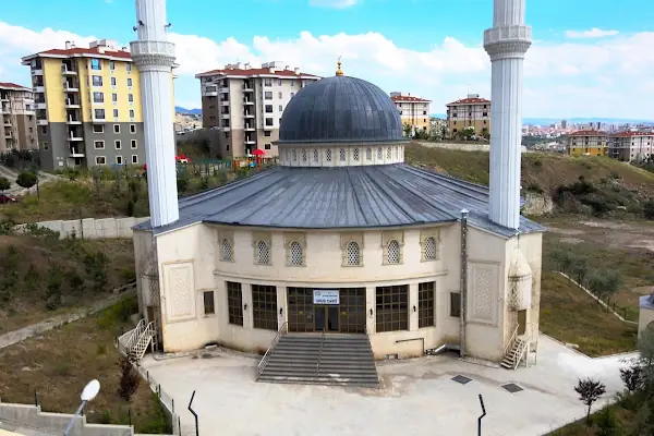 UHUD Cami