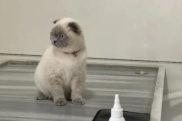 Mct Veteriner Kliniği