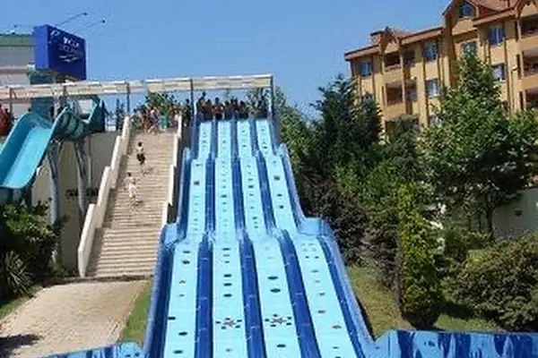 Aqua Club Dolphin