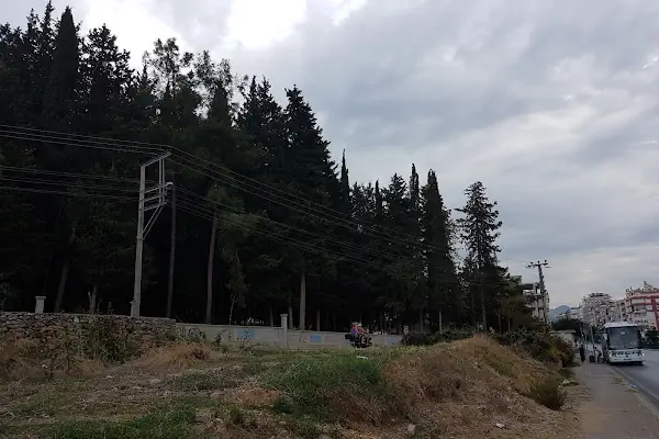 Alanya Belediyesi Hatipoğlu Hasanağa Mezarlığı