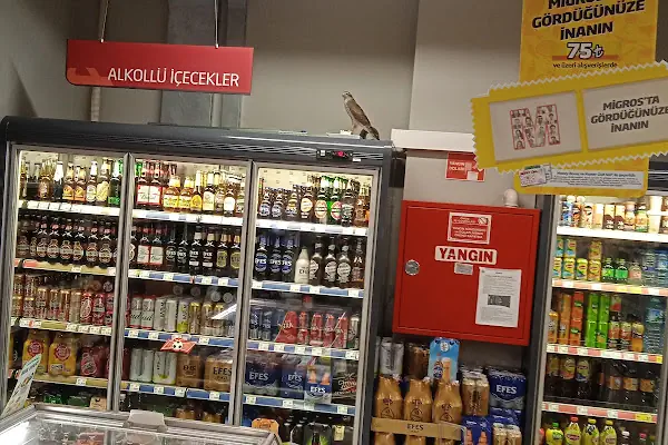 Migros Jet