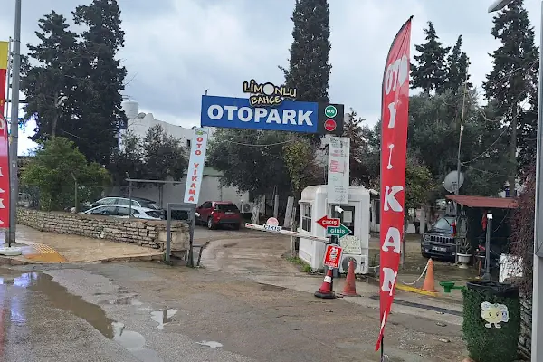 Bodrum Limonlu Bahçe Oto Yıkama