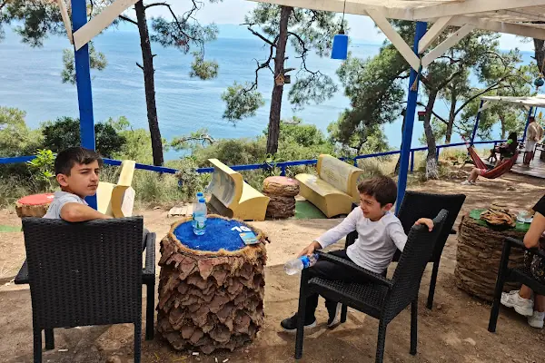 Palmiye kafe
