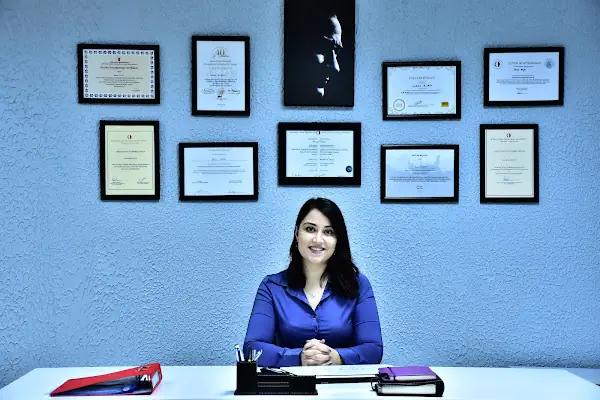 Bilgin Psikolojik Danışmanlık Merkezi