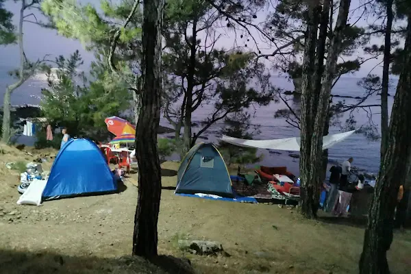 Pullu 1 Tabiat Parkı