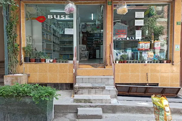 Buse Kuş ve Balık Petshop