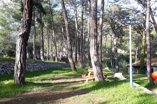 Pullu Tabİat Parkı