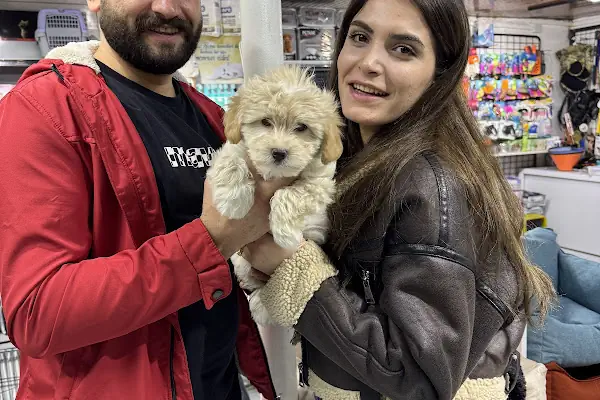 Antalya 07 PetShop