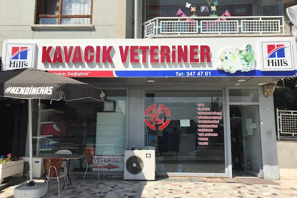 KAVACIK VETERİNER KLİNİĞİ
