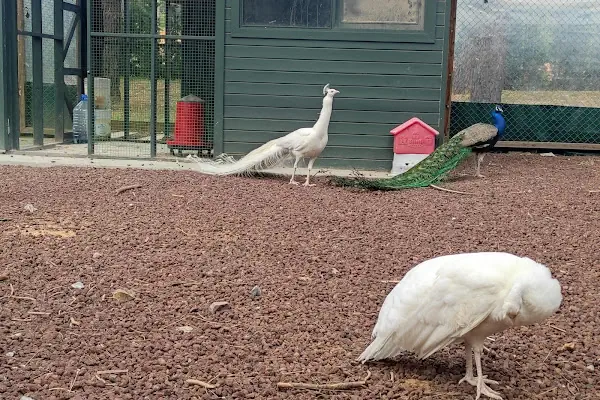 Ümraniye Millet Bahçesi