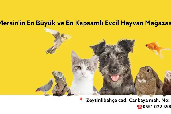 MEDA PET SHOP