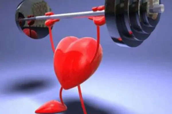 Ali’s Gym Fitness