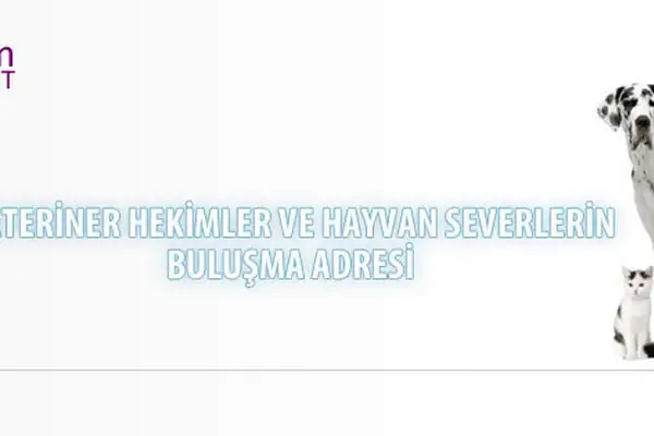 VeterinerHekim