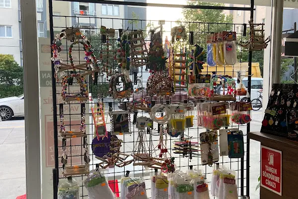 Hadımköy Petshop