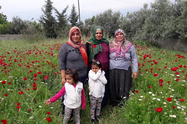 Büyük Mangıt Çocuk Parkı