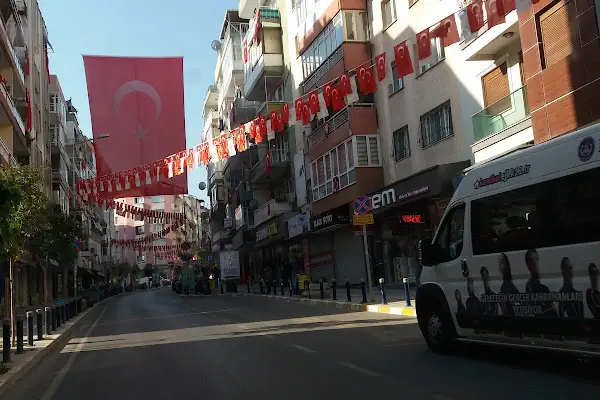 Kamilkoç