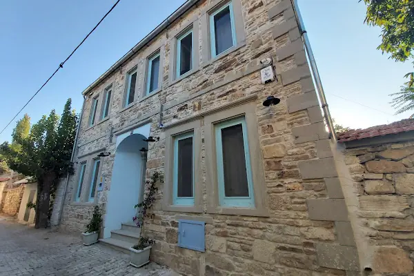 Foça Limon Ağacı