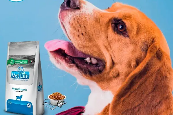 Mahmutlar Fundy Petshop Kedi ve Köpek Maması &amp; Aksesuarlar