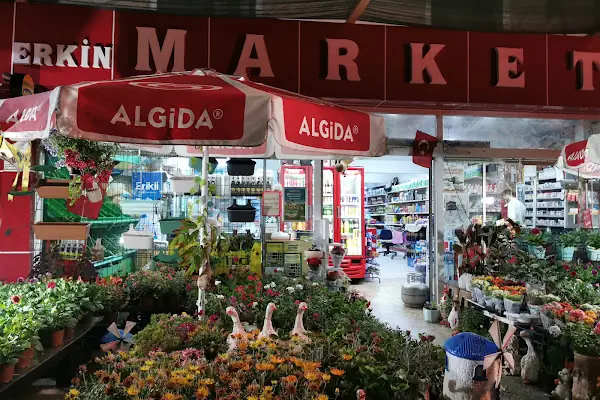 Erkin Market