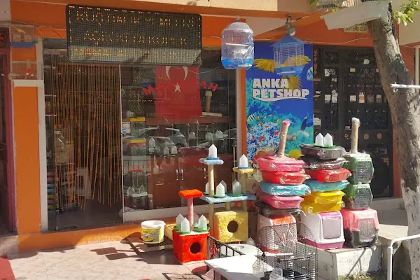 Çulfa Petshop