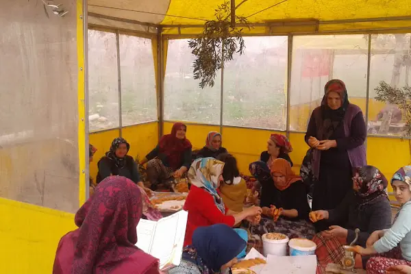 Değirmencik Köyü Muhtarlığı