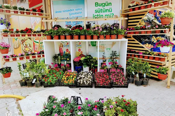 BESA Süpermarket