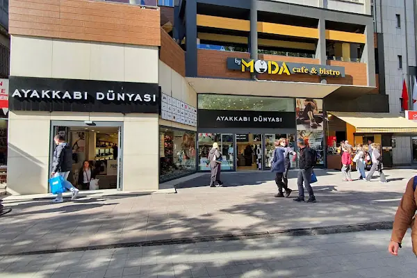 Ayakkabı Dünyası