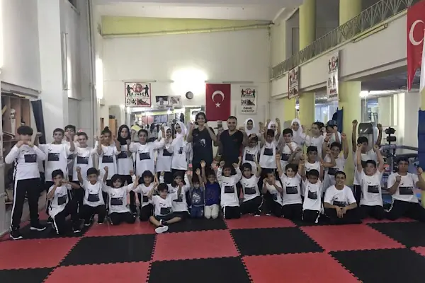 Barış için savunma sanatları