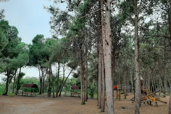 Mersin Yüzüncü Yıl Tabiat Parkı
