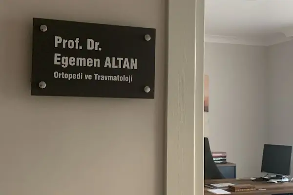 Prof.Dr.Egemen Altan