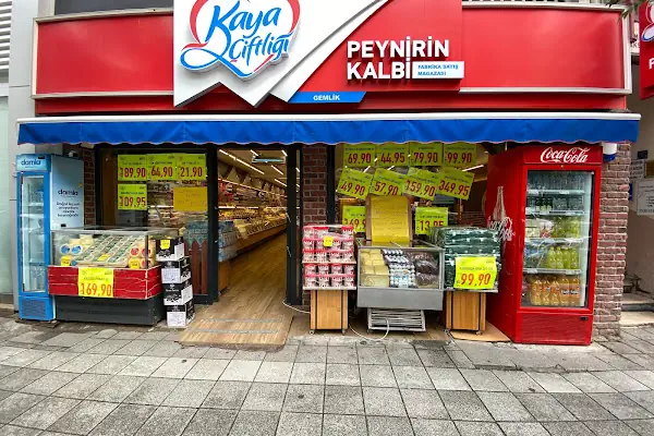 Kaya Çiftliği - Gemlik Şube