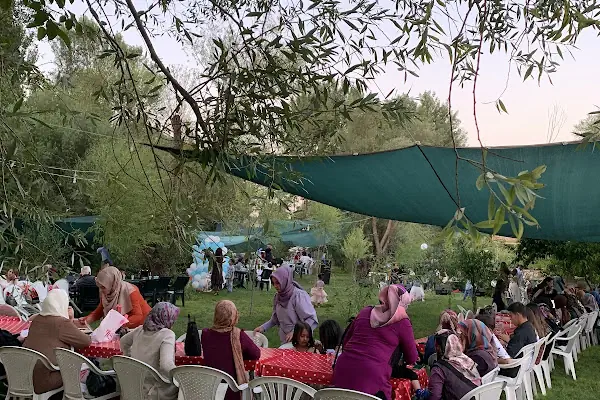 Kavaklıdere Piknik Alanı | Ayaş Ankara
