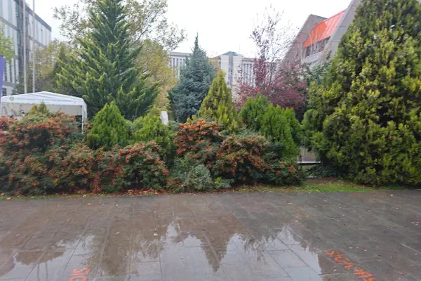 Ankara Üniversitesi Olimpik Yüzme Havuzu