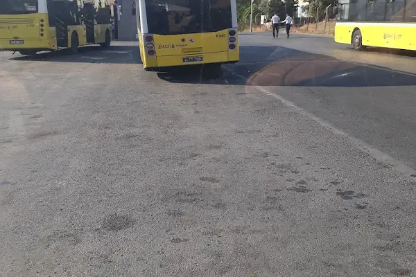 Ambarlı