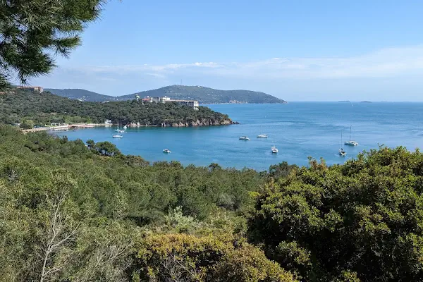 Deniz Lisesi ve Heybeliadalılar Derneği Ormanı