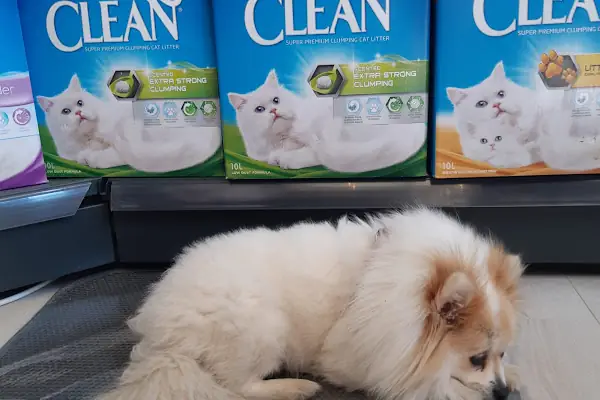 UpHill PETSHOP Kent Çarşı Ataşehir