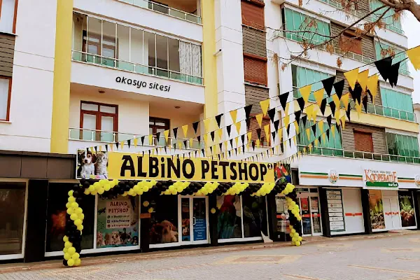 Albino petshop 2