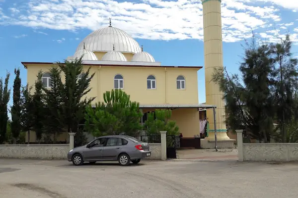 Altıntaş Mahalle Cami