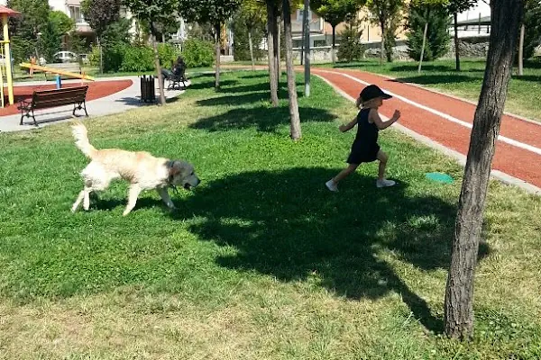 Çocuk Parkı