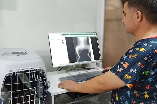 Akdeniz Veteriner Kliniği