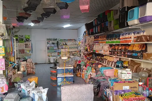 Gaziantep petshop minnak