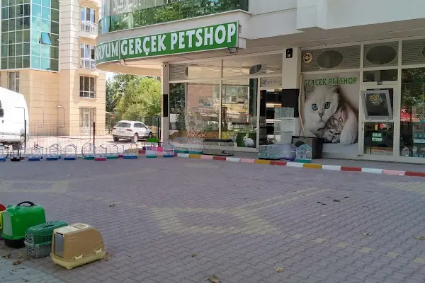 Gerçek Petshop ve Akvaryum Ahmet özcan caddesi