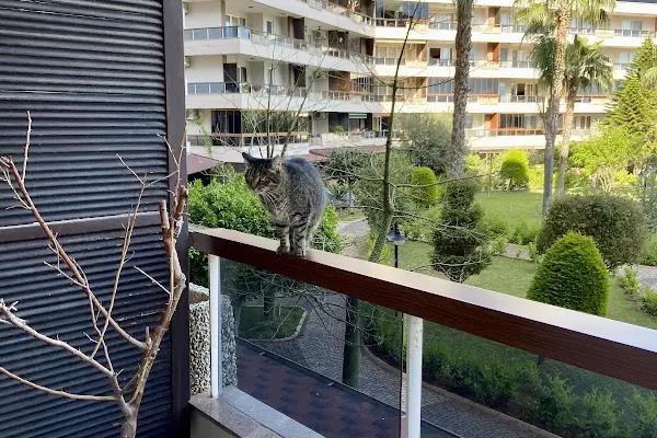 Riverside Resort Sitesi