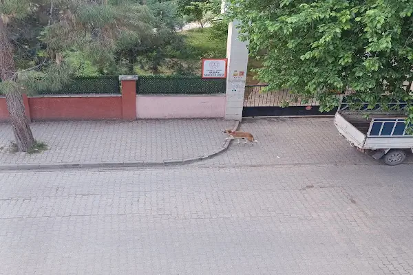Işık Kırtasiye