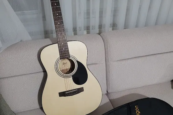 Müzik Reyonu