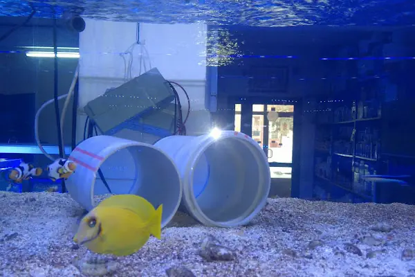 Ömer Akvaryum &amp; Petshop