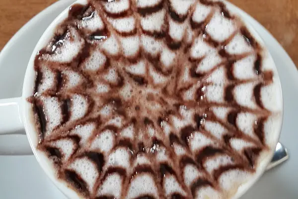 Chef'in Fırını