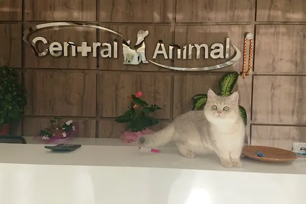 Central Animal Bornova Veteriner Polikliniği