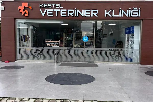 Kestel Veteriner Kliniği