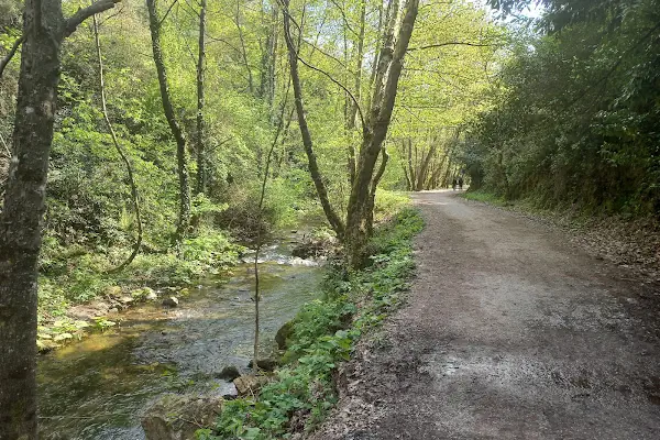 Kocaeli Kent Ormanı